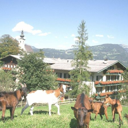 Torrenerhof Golling an der Salzach Exterior foto