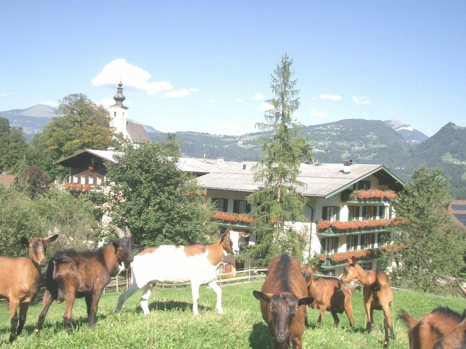 Torrenerhof Golling an der Salzach Exterior foto