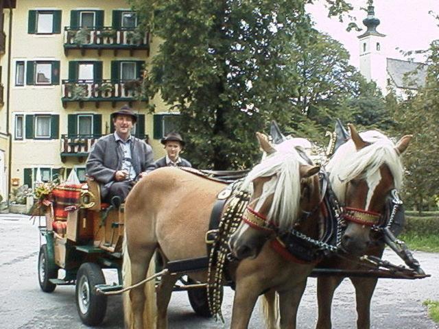 Torrenerhof Golling an der Salzach Exterior foto